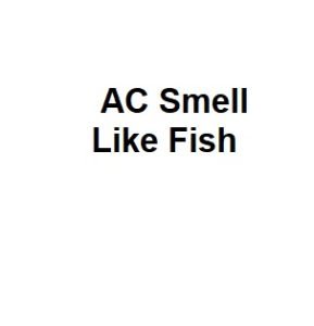 AC Smell Like Fish