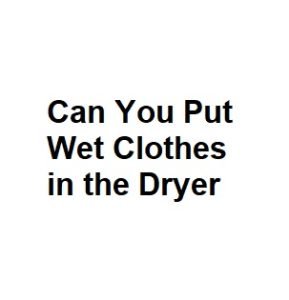Can You Put Wet Clothes in the Dryer