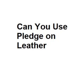 Can You Use Pledge on Leather