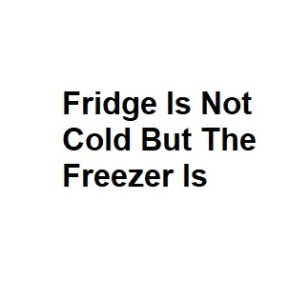 Fridge Is Not Cold But The Freezer Is