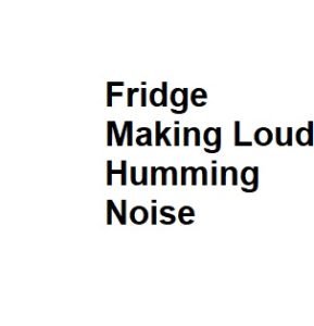 Fridge Making Loud Humming Noise