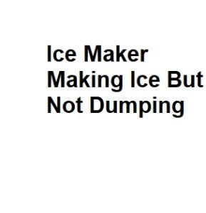 Ice Maker Making Ice But Not Dumping