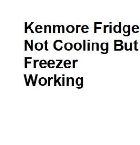 Kenmore Fridge Not Cooling But Freezer Working