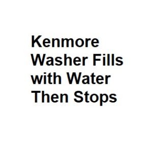 Kenmore Washer Fills with Water Then Stops