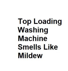 Top Loading Washing Machine Smells Like Mildew