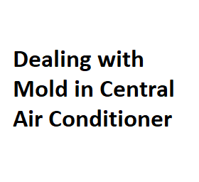 Dealing with Mold in Central Air Conditioner