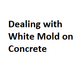 Dealing with White Mold on Concrete