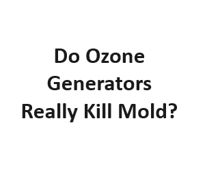 Do Ozone Generators Really Kill Mold?