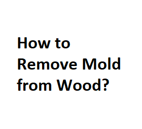 How to Remove Mold from Wood?