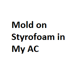 Mold on Styrofoam in My AC