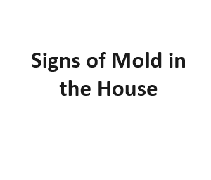 Signs of Mold in the House