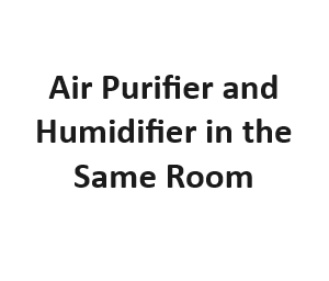 Air Purifier and Humidifier in the Same Room