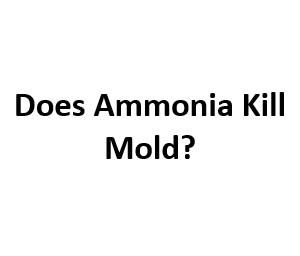 Does Ammonia Kill Mold?