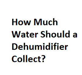 How Much Water Should a Dehumidifier Collect?