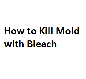 How to Kill Mold with Bleach